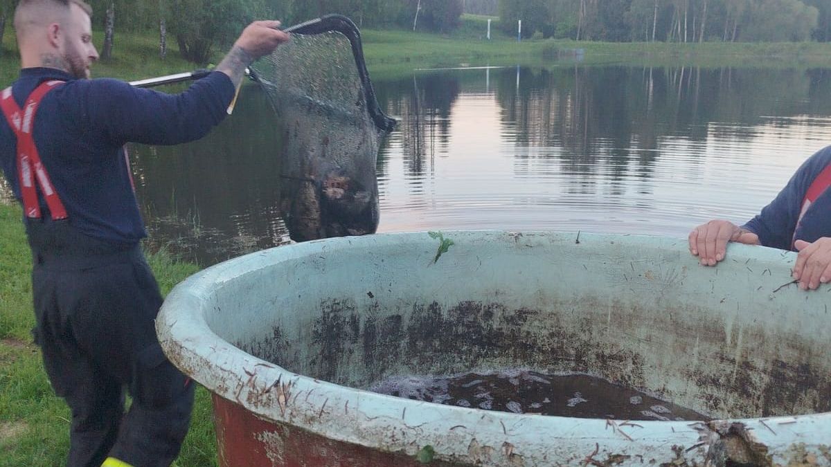 Hasiči zachránili více než stovku ryb, které se přepadem dostaly na suchý odtok