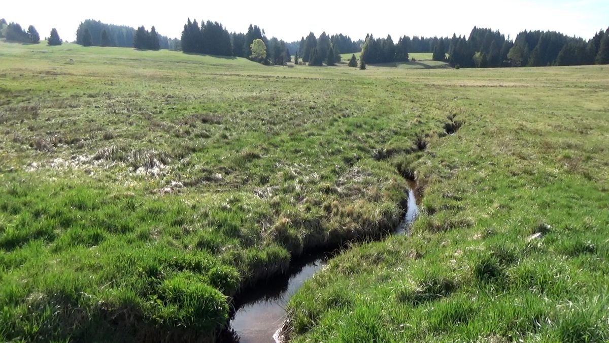 Z kamenné střechy Novohradských hor do údolí k levádě a vodopádu 