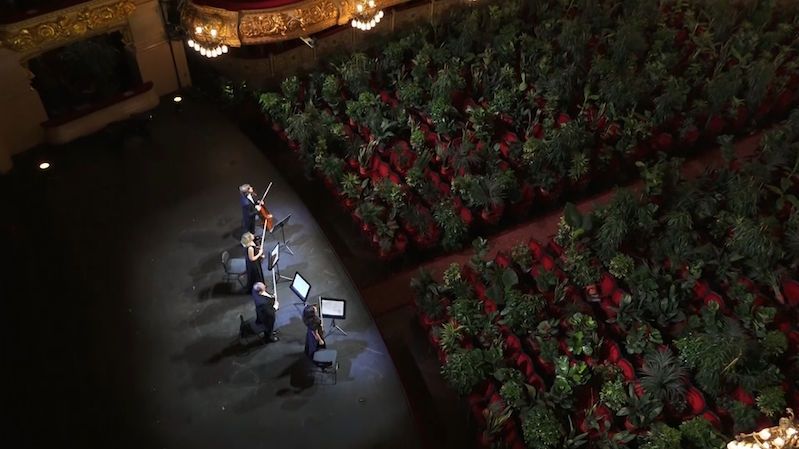 Opera odehrála koncert pro rostliny: Příroda zabrala místo, které jsme jí sebrali