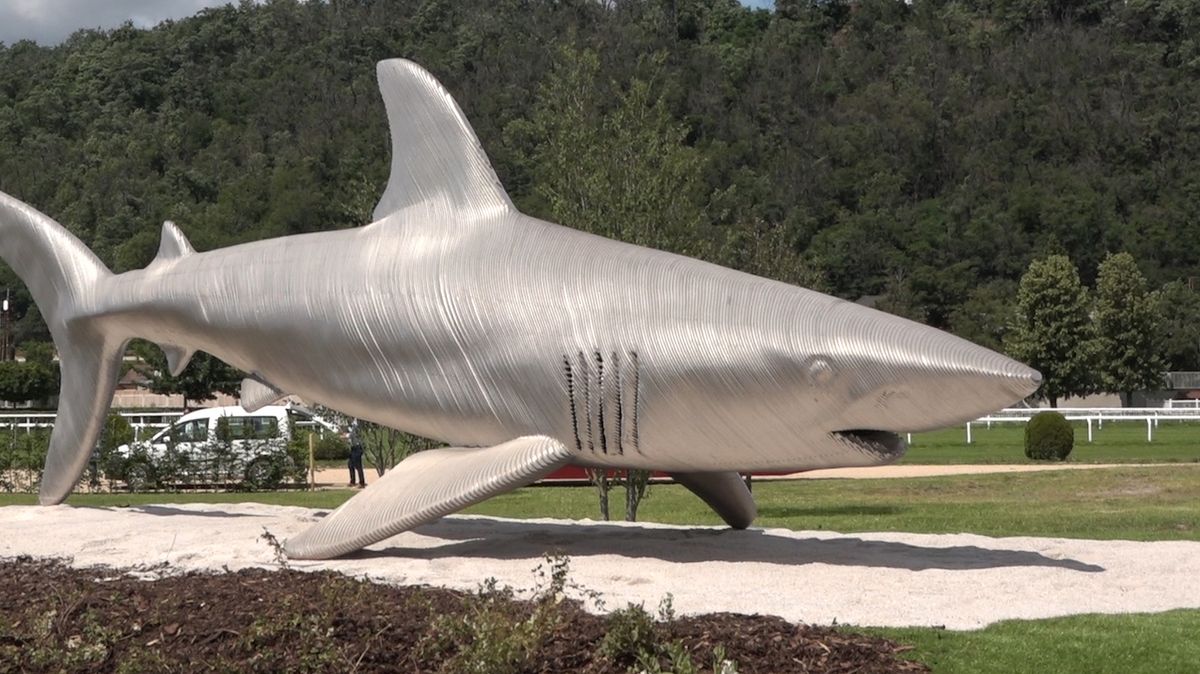 Parkurovou zónu zdobí sedmimetrová ocelová socha žraloka
