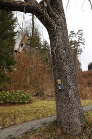 Skladba artefaktů se každou sezonu mění.