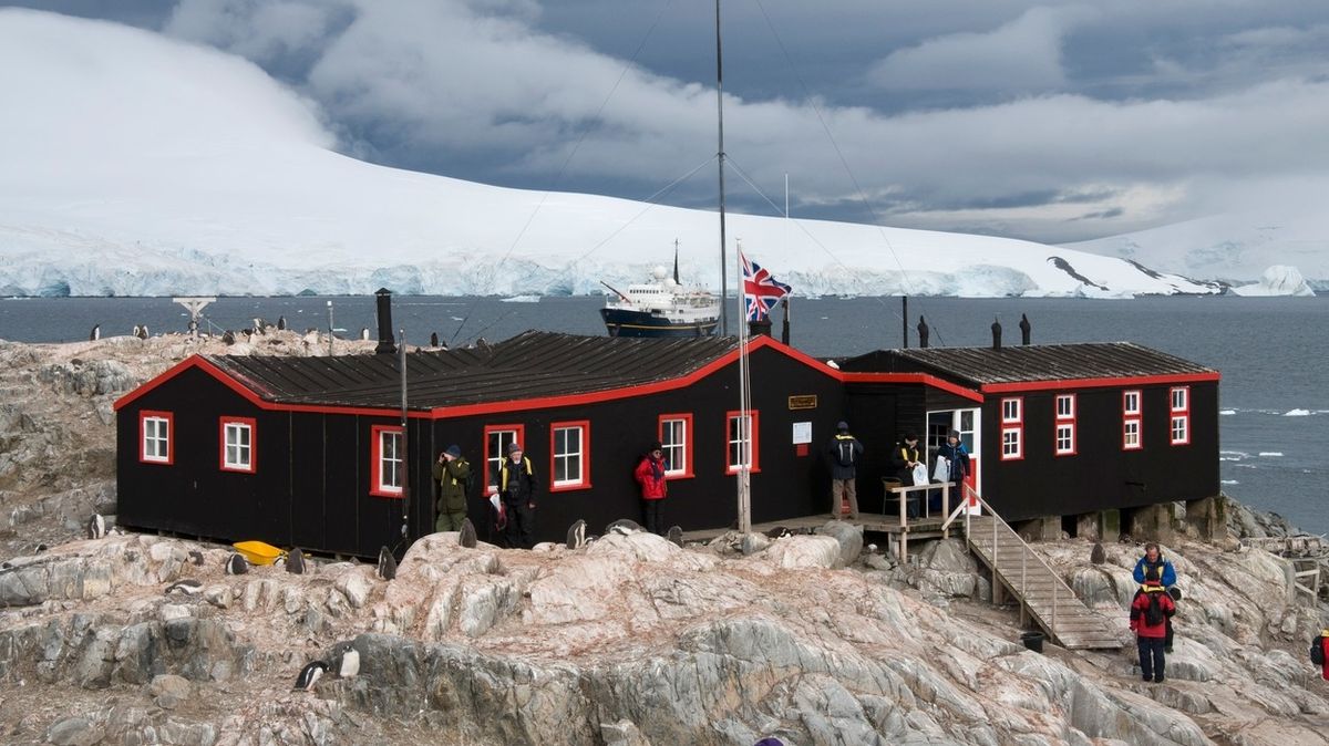 Britská pošta v Antarktidě hledá nové zaměstnance na počítání tučňáků