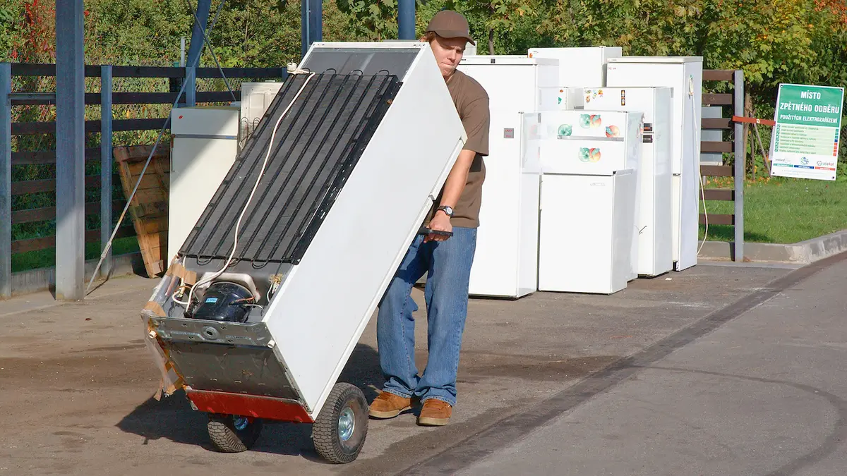 Čím menší elektroodpad, tím větší problém s tříděním. Drobné věci končí v popelnicích