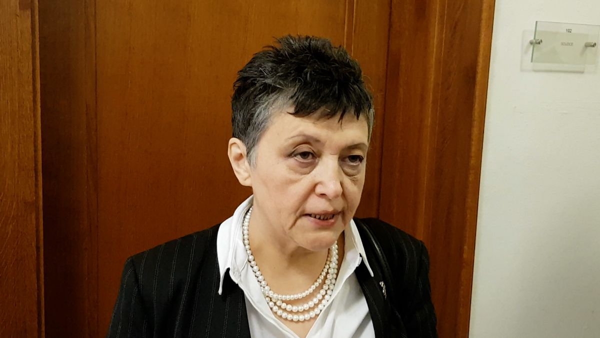 Prezident potřebuje psychiatra, řekla Stehlíková před soudem se Zemanem
