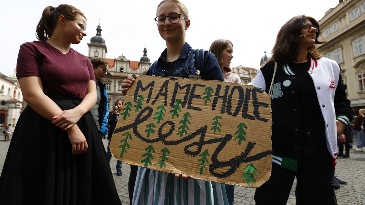 Studenti v pátek uspořádají další stávku za klima