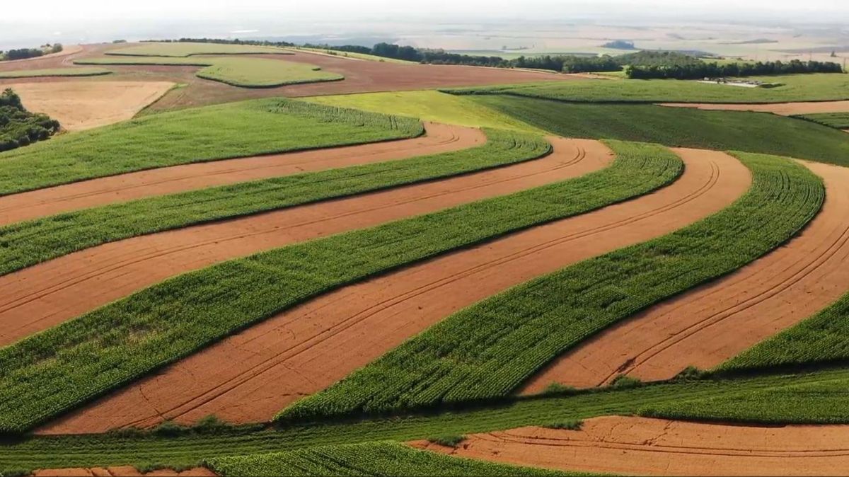 Krajina se změní, vodní erozi půdy zabrání inovativní pěstování plodin v pruzích