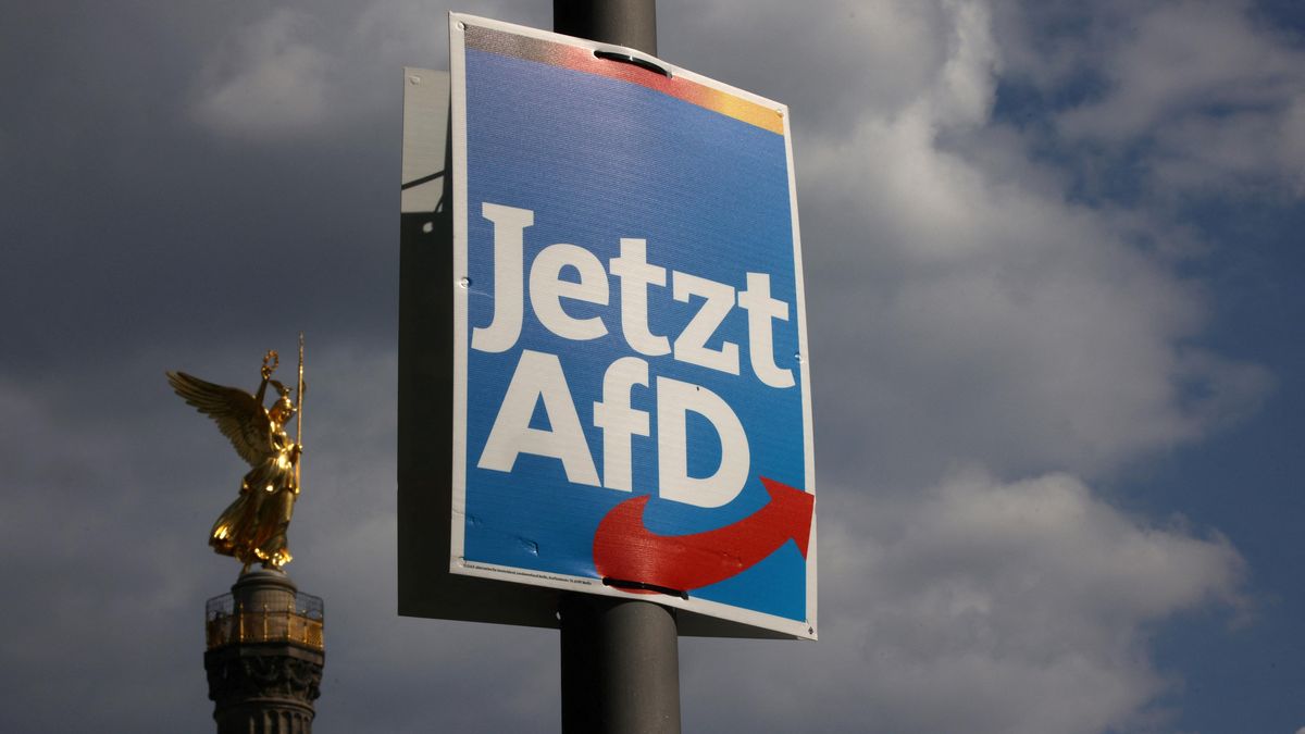 Německé eurovolby se převtělily do referenda o straně AfD