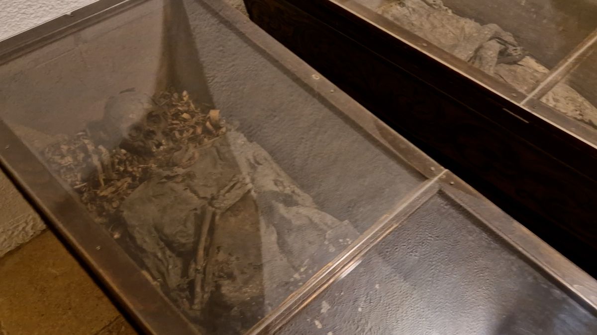 Kapucínská hrobka v Brně je opravena, slavné mumie mnichů již neohrožuje vlhkost