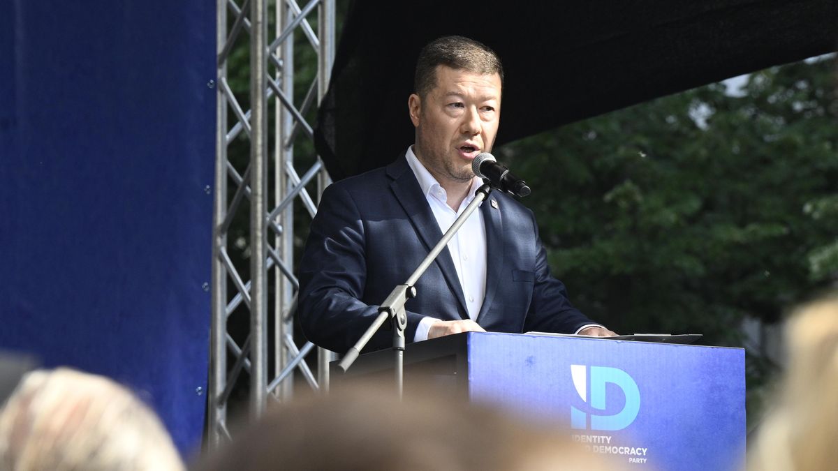 Češtinu do ústavy jako národní jazyk, žádá SPD