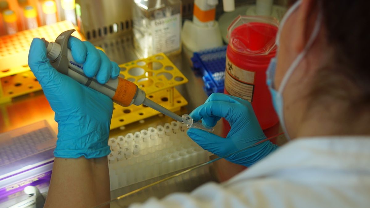 Brněnští vědci vyvinuli novou kultivační metodu pro studium leukémie a testování léků