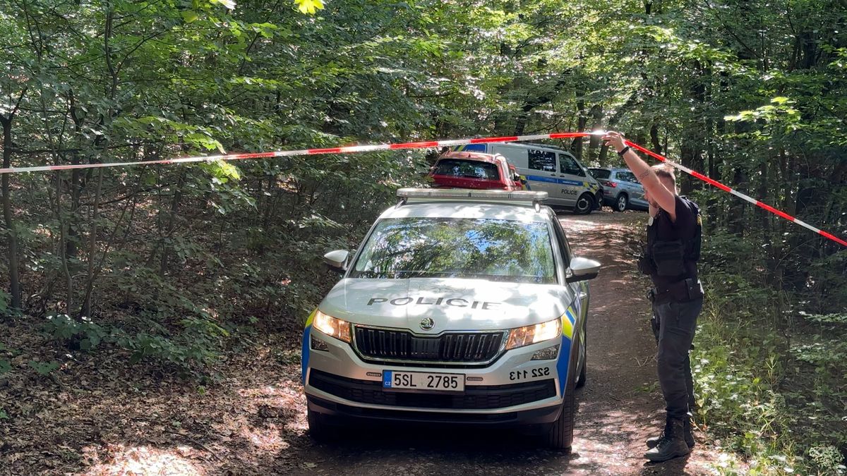 V lese u Hořovic našli pobodaného muže, policie uzavřela široké okolí