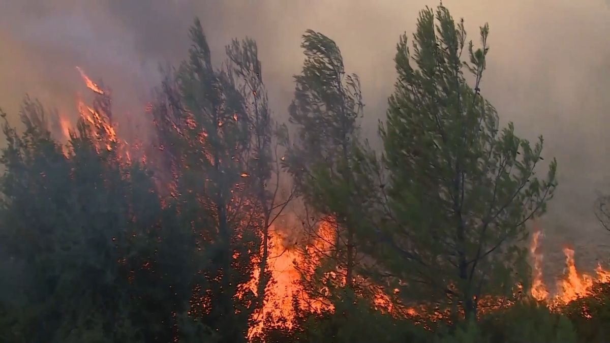 U Atén zuří lesní požáry