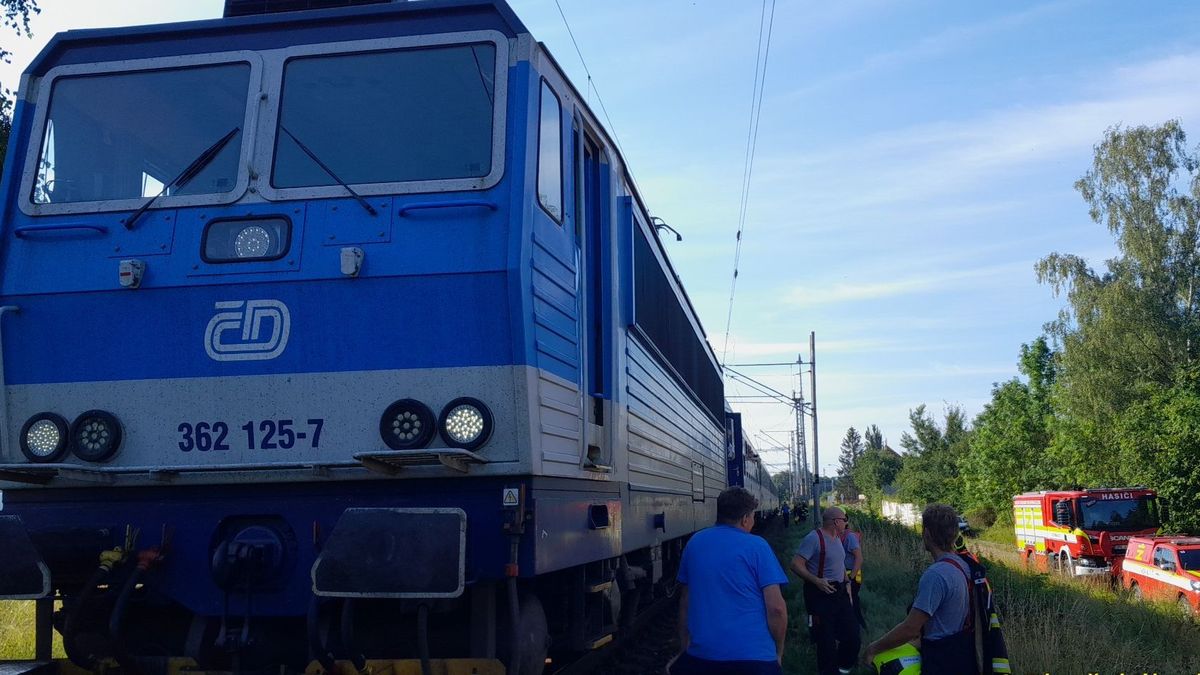 Vlak na Plzeňsku srazil dva psy pobíhající v kolejišti. Jeden na místě zahynul, doprava na trati stála