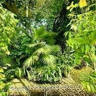 Uvnitř čeká bujná zeleň.