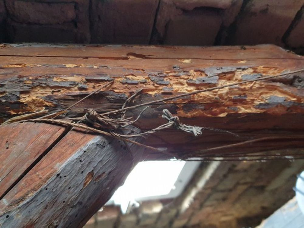 Některé prvky krovu byly napadeny dřevokazným hmyzem.