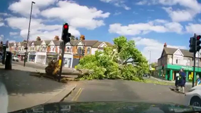 Na křižovatku v Londýně spadl mohutný strom, těsně minul chodce