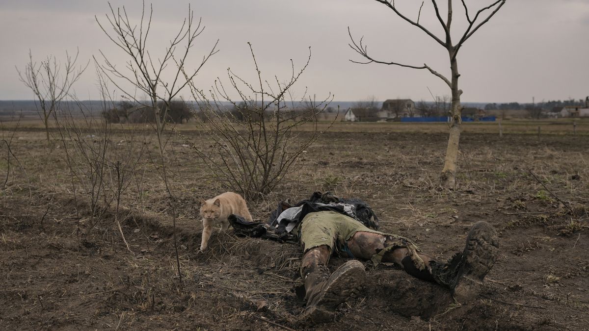FOTO: Situace v Borodjance je stejně tragická jako v Buči