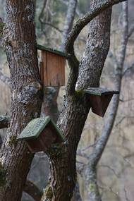 ...co se přes zimu rozpadlo.