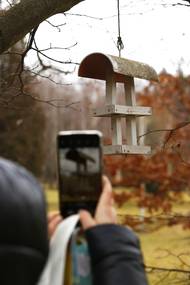 ...aby se zaznamenaly ztráty.