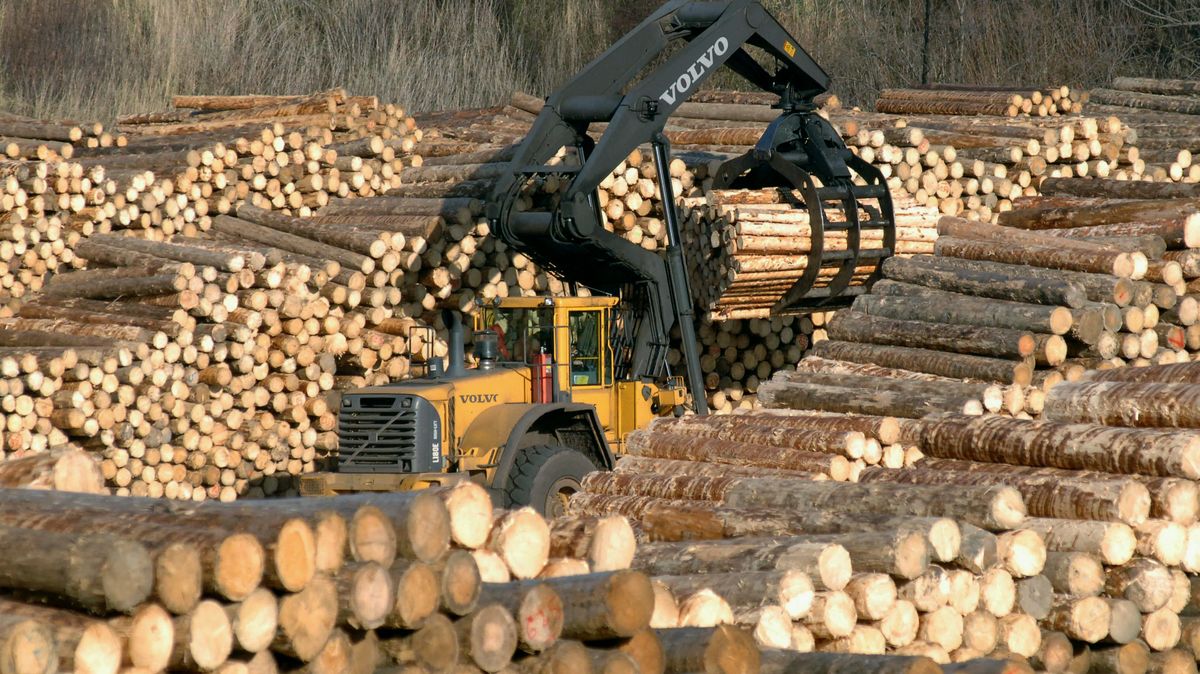 Češi se v době drahých energií obracejí ke dřevu, vznikají i pořadníky