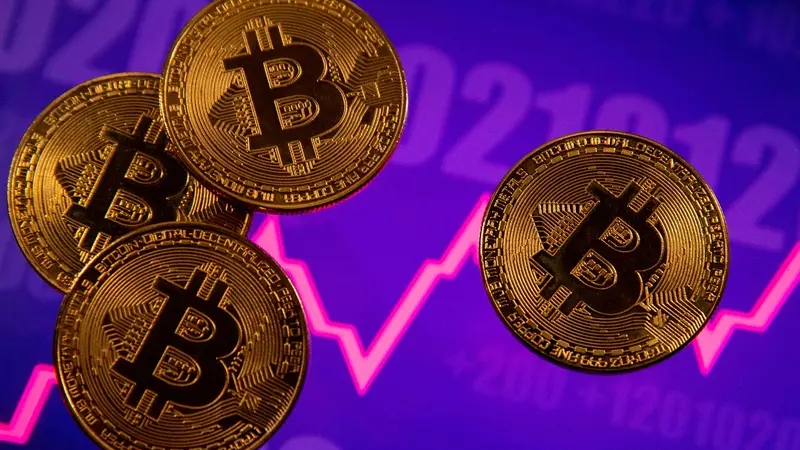 Les investisseurs particuliers détiennent la plus grande part de Bitcoin de l’histoire