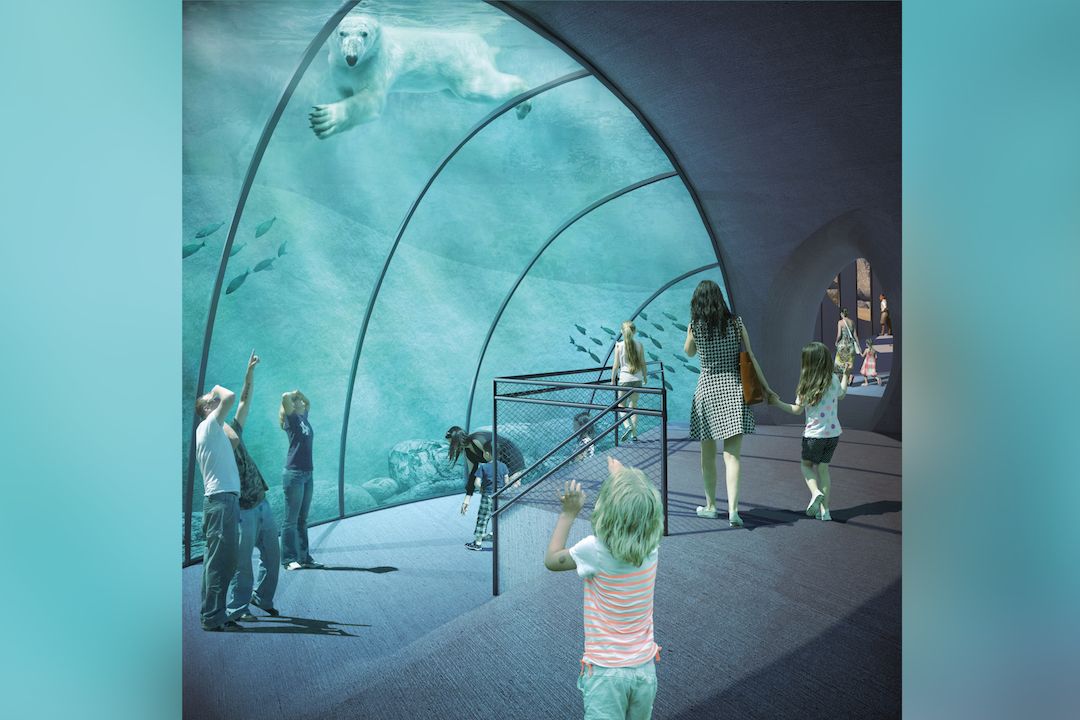 Vizualizace nového pavilonu Arktida pro lední medvědy v Zoo Praha