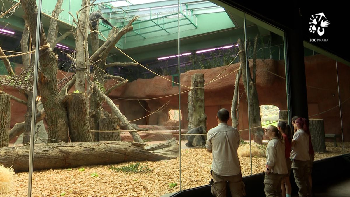 Pražská zoo zvýší vstupné