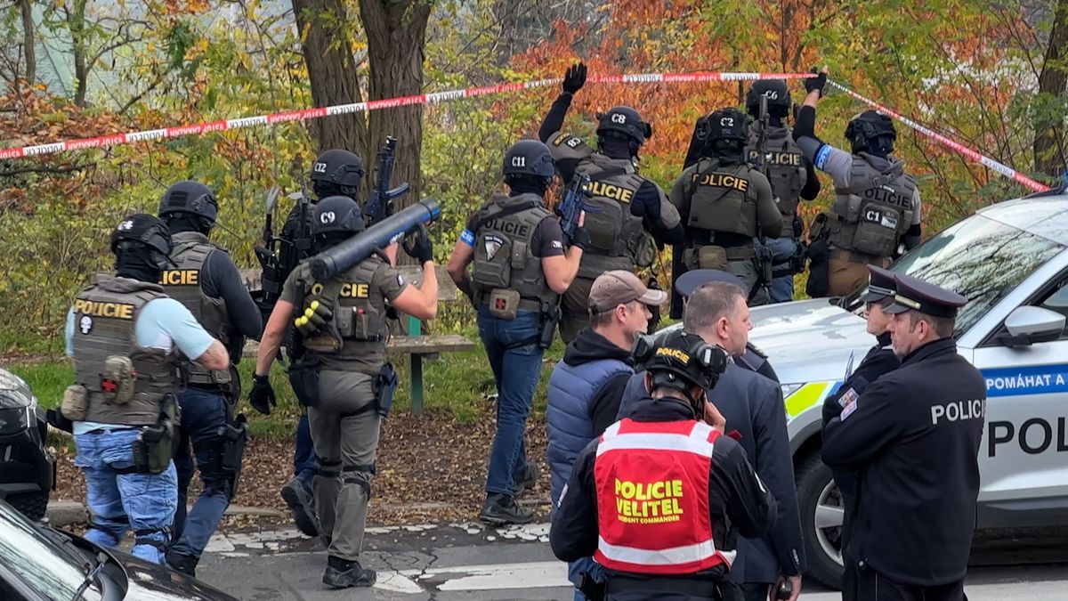 Seniora, který se přiznal k postřelení chlapce v pražském parku, policie navrhla obžalovat