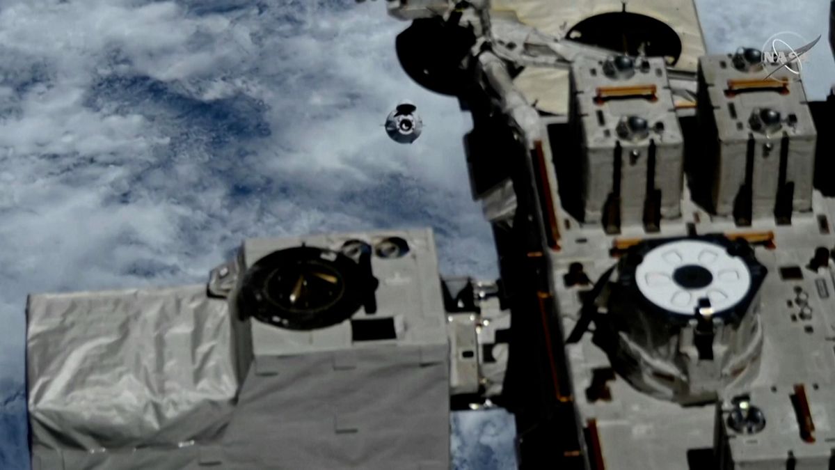 Loď Dragon přivezla na ISS kromě vědeckých zařízení i sazenice rajčat a zmrzlinu