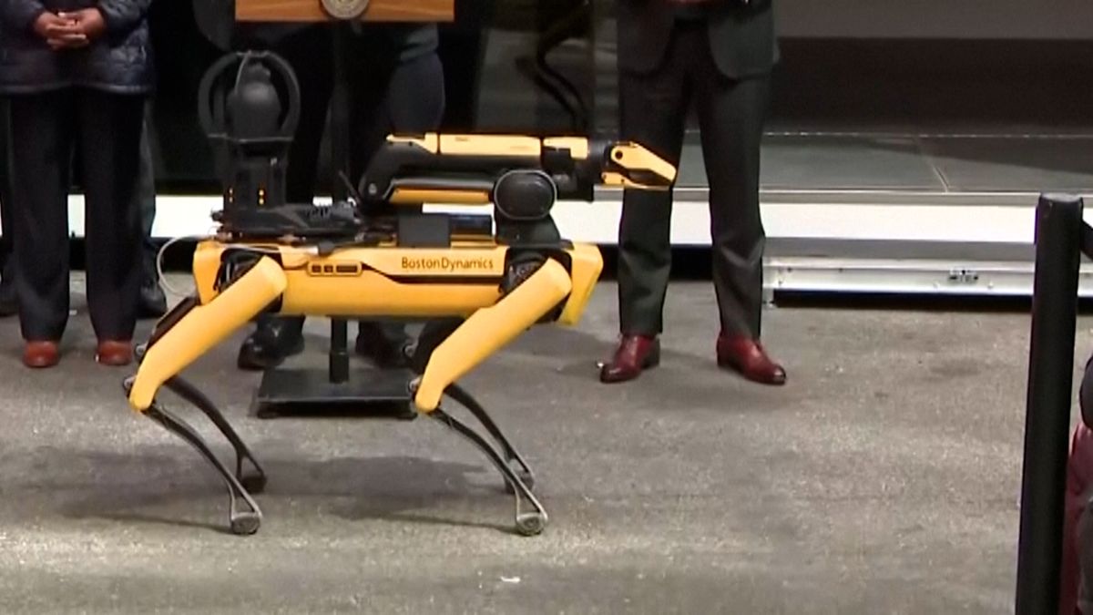 Policistům v New Yorku bude pomáhat robotický pes