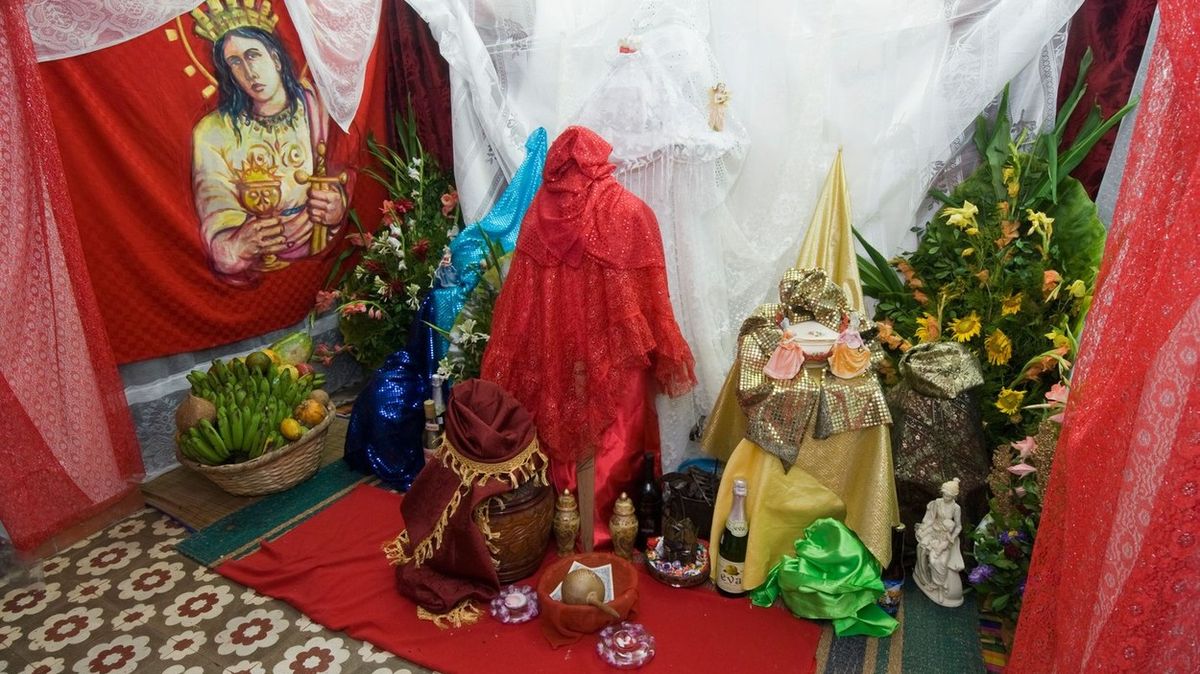 Na Kanárských ostrovech prodávali části chráněných zvířat k náboženským rituálům