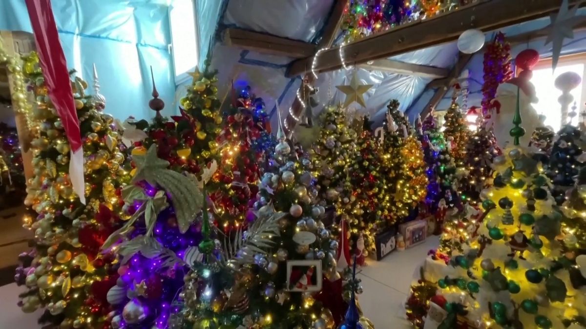 Eine Familie in Deutschland hat erneut den Rekord für die Anzahl der Weihnachtsbäume in einem Haus gebrochen