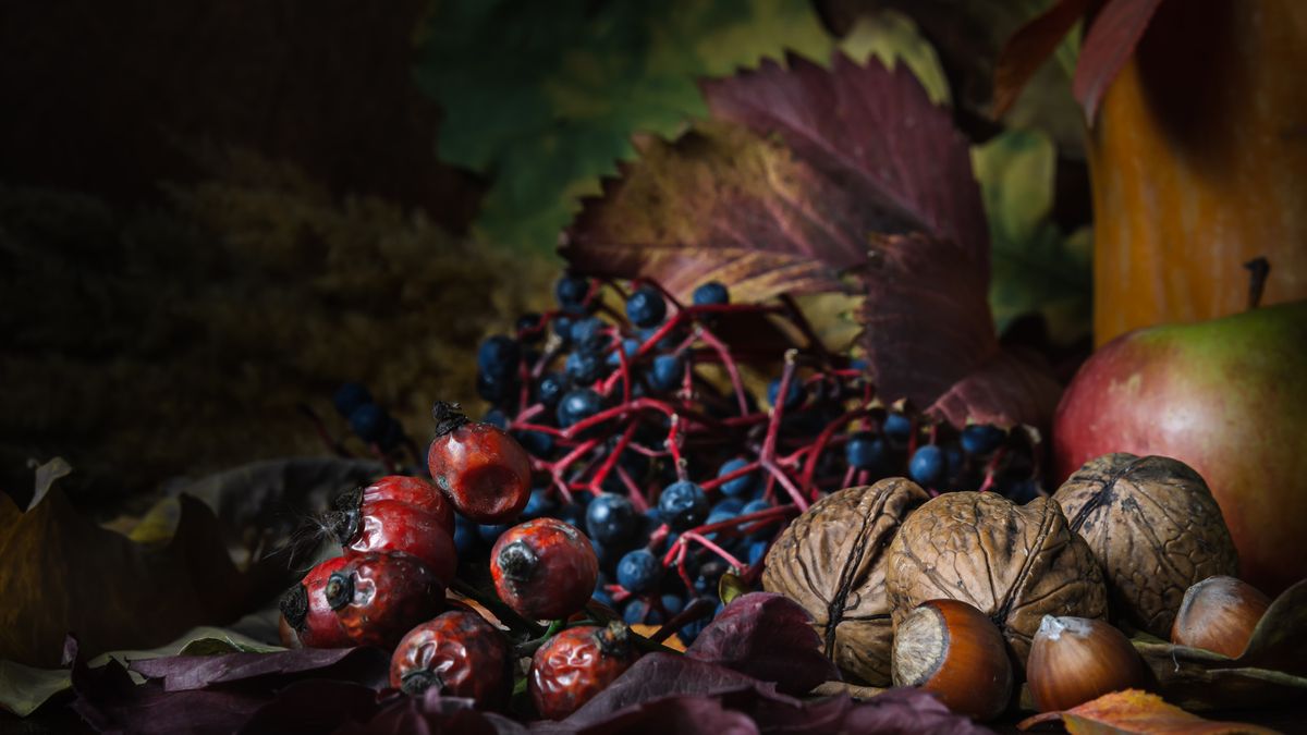 KVÍZ: Co všechno víte o podzimních plodech?