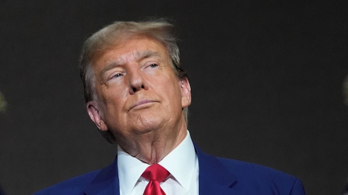 Nechat Rusku Donbas a Krym. List popsal Trumpův 24hodinový mírový plán