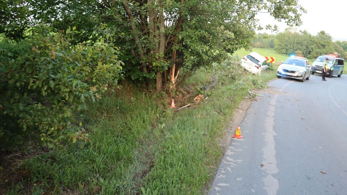 Řidič usnul na Olomoucku za volantem a narazil do stromu. Odlomená větev spadla na další auto