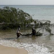 Hurikán bral střechy a vytrhával stromy kořenů. Na snímku lidé odřezávají větve z poničeného stromu na Barbadosu, 2. července 2024