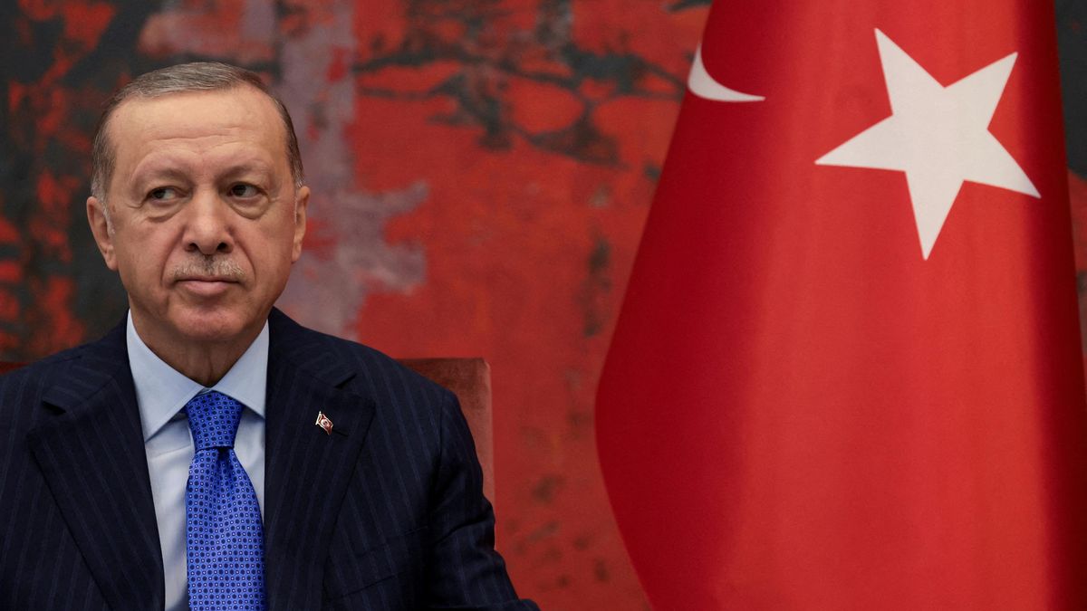 Erdogan: Krym se musí vrátit Ukrajině, Turecko podporuje její územní celistvost