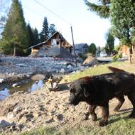 Dům, který vzala povodeň pár dní po jeho koupi.