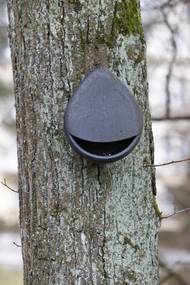 ...uplatní se ale i jiný, méně tradiční materiál.