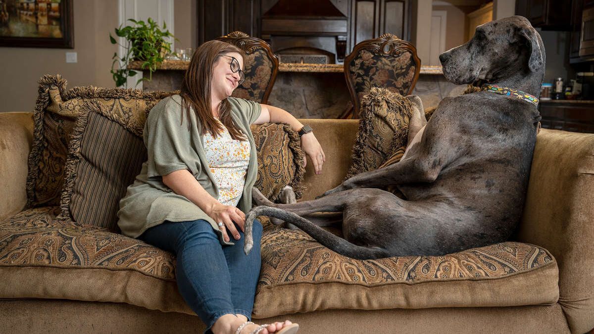 Největším psem na světě se oficiálně stal texaský Zeus
