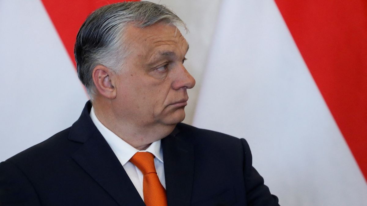 Maďarsko mezi nepřátelské země nepatří, míní ruský politolog