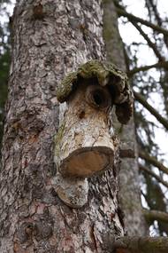 ...spontánně se ale přidává i veřejnost.