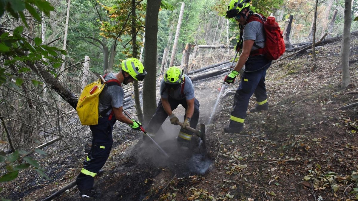 Zásah hasičů v Českém Švýcarsku bude stát stovky milionů