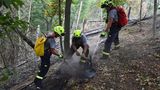 Zásah hasičů v Českém Švýcarsku bude stát stovky milionů