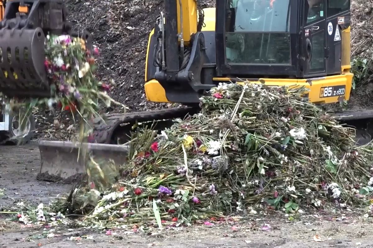 Květiny k uctění královny Alžběty poslouží jako kompost pro královský park