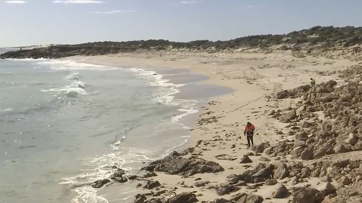 V Austrálii pátrají po surfaři, našli prkno s otisky žraločích zubů