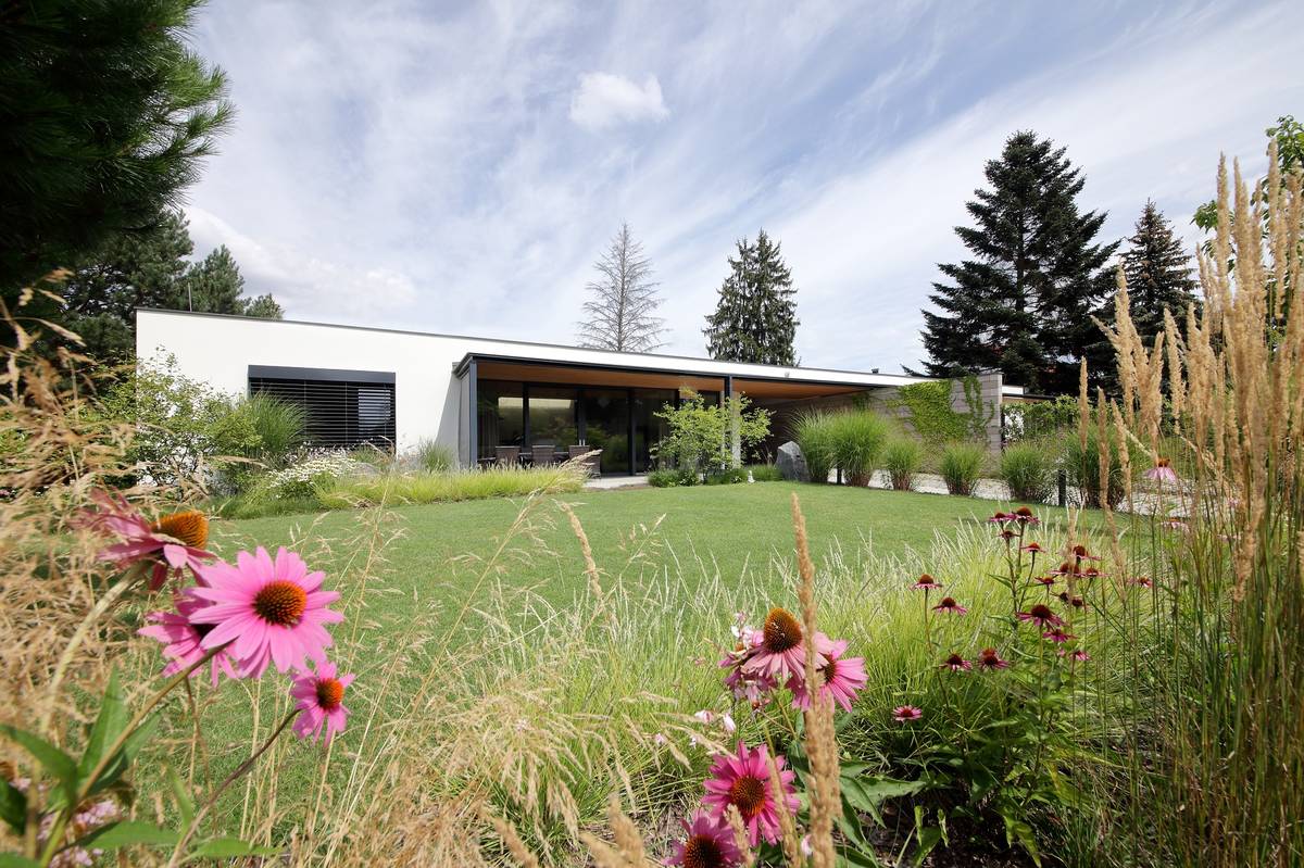 Před domem je trávník lemovaný záhony s květinami a keři.