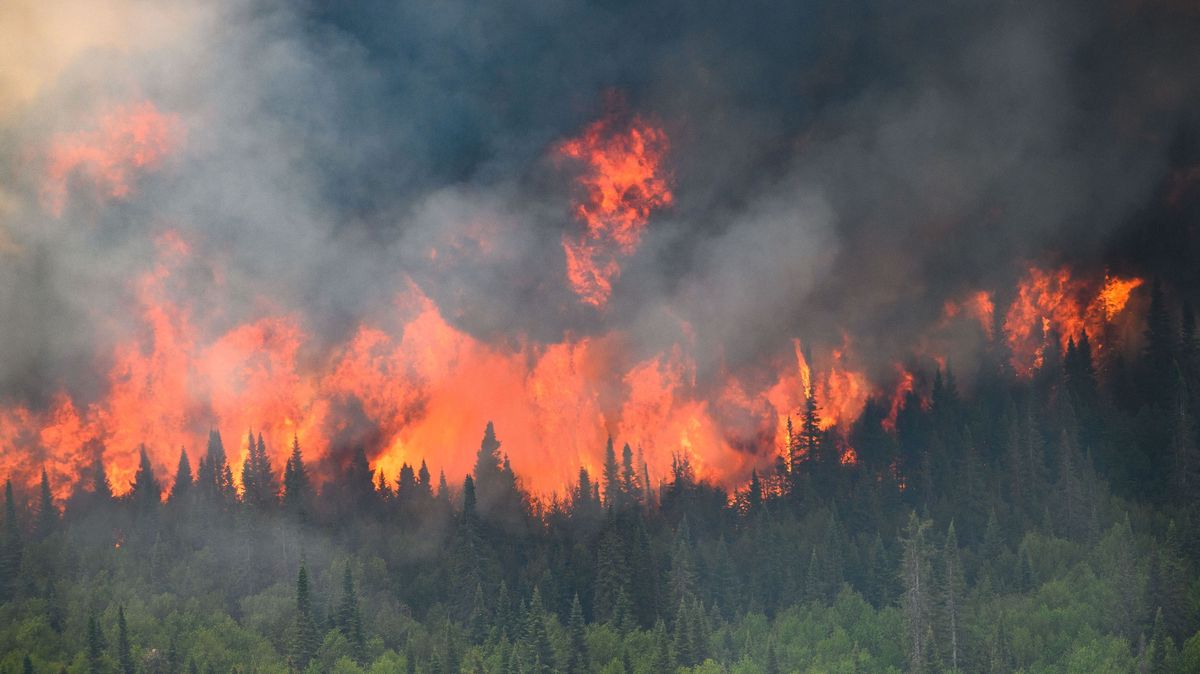 Požáry v Kanadě spálily víc lesa, než je rozloha Česka a Slovenska dohromady