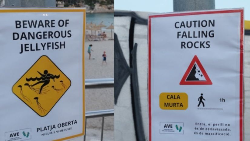 Pozor medúzy. Španělé brání pláže před turisty falešnými cedulemi