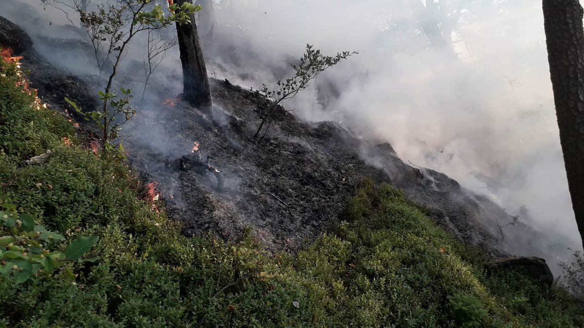 Hasiči likvidují požár v Českém Švýcarsku